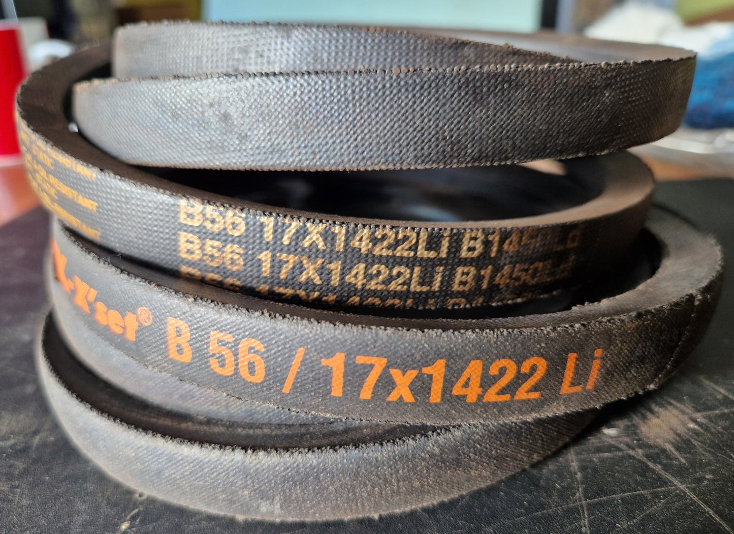B56 B Section V Belt
