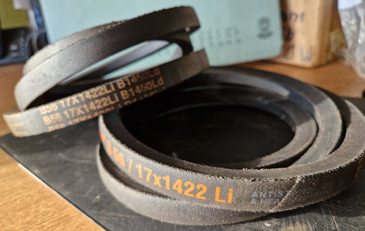 B56 B Section V Belt